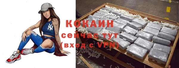 гашик Покров
