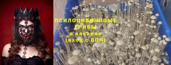гашик Покров