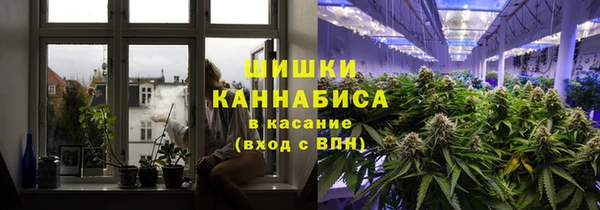 мет Пересвет